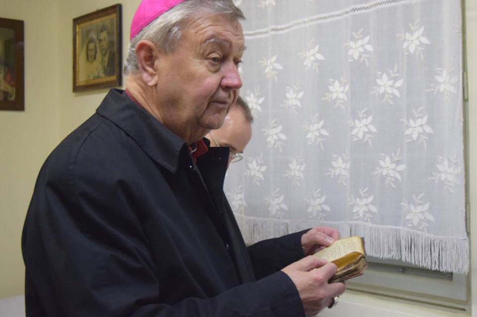 15032166_1782771628655038_382574761440969124_n