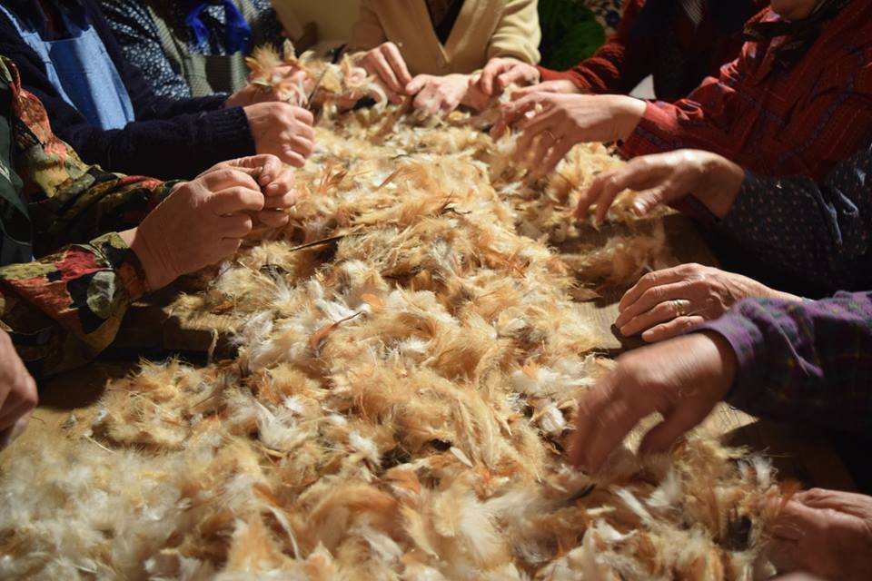 17191347_1838383676427166_6595739191582565124_n