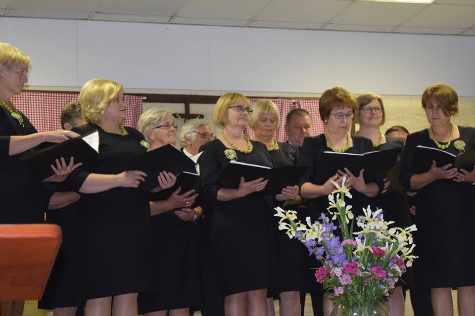 18765992_1877220505876816_4029577999205863554_n