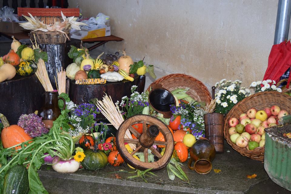 22554973_1943966882535511_716855716021925516_n