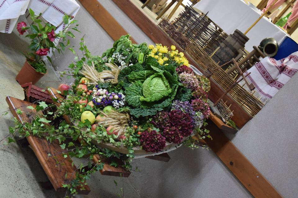 22728884_1943966265868906_941283648635631197_n