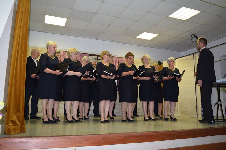 32212794_2040532299545635_6972423940954128384_n